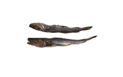 Kaufit Blue Whitting 200g