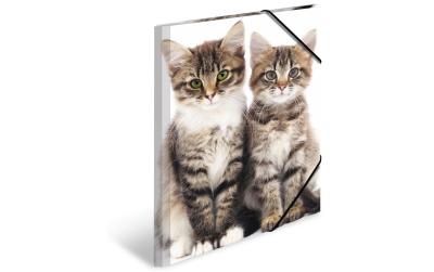 Herma Sammelmappe A3 Katzen