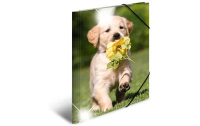 Herma Sammelmappe A3 Glossy Tiere Hunde