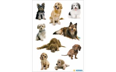 Herma Sticker Hundefotos