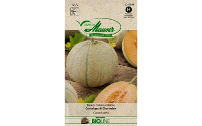 Samen Mauser Melone