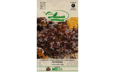 Samen Mauser Eichblattsalat