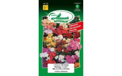 Samen Mauser Schafgarbe