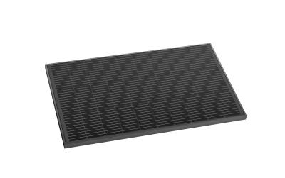 EcoFlow Solarmodul 100W Rigid 2 Stück Combo