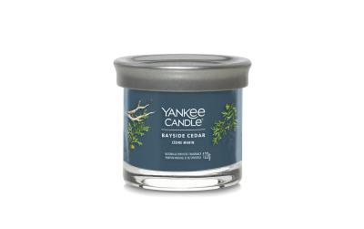 Yankee Candle Bayside Cedar