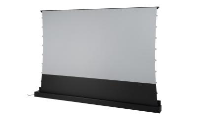 Celexon, UST Plus 100 Bodenleinwand