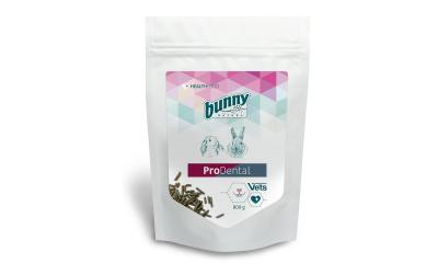 Bunny Nager Pro Dental