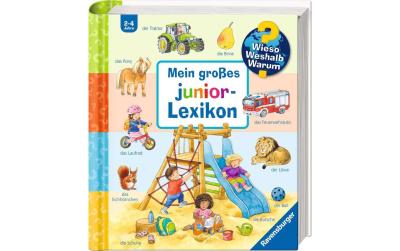 WWW Mein grosses Junior-Lexikon