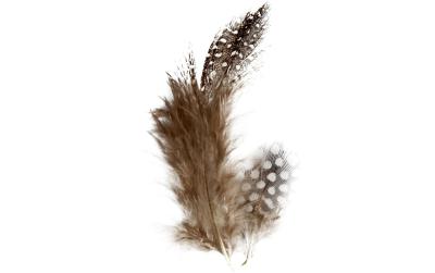 Creativ Company Perlhuhn Federn Sortiment