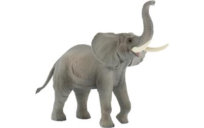 Afrikanischer Elefant