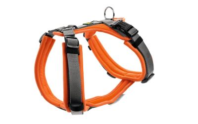 Hunter Geschirr Maldon XS, orange/grau