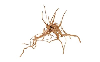 Hobby Terra Fingerwood S