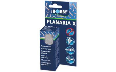 Hobby Aqua Planaria X