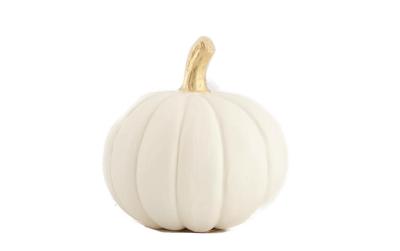 CHALET Dekokürbis 10cm