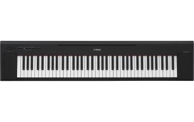 Yamaha NP-35B