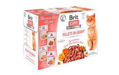 Brit Care Cat Flavour box Fillets Sauce