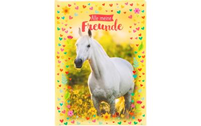 Goldbuch Freundebuch Chiara