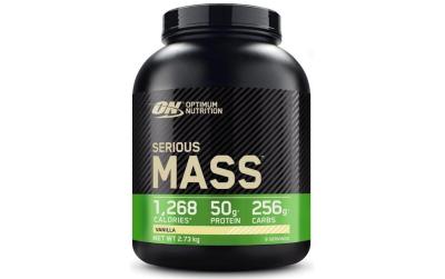 Gainer Serious Mass