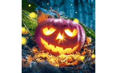 Paper + Design Servietten Pumpkin night