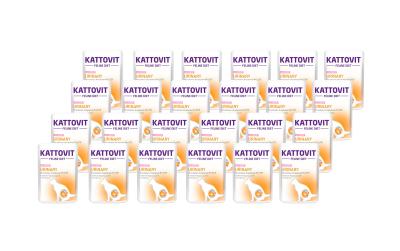 Kattovit Urinary Lachs 24x85g Kit