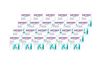 Kattovit Gastro Lachs&Reis 24x85g Kit