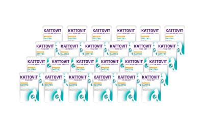 Kattovit Gastro Huhn&Reis 24x85g Kit