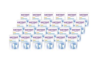 Kattovit Aufbaukur Huhn 24x85g Kit