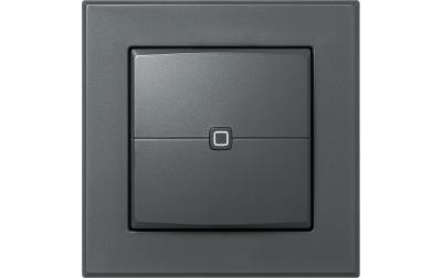 Homematic IP Wired Wandtaster 2-fach