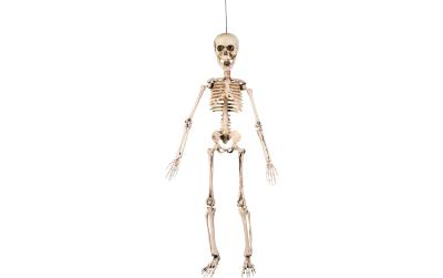 Halloween Skelett Beweglich