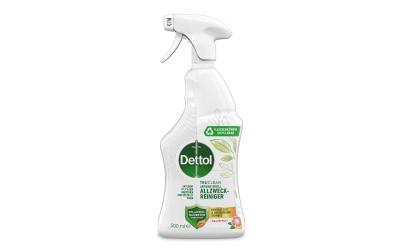 Dettol Allzweckreiniger Grapefruit