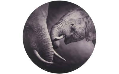 Chalet Wandbild Elefant