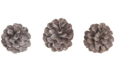 Chalet Deko Zapfenmischung