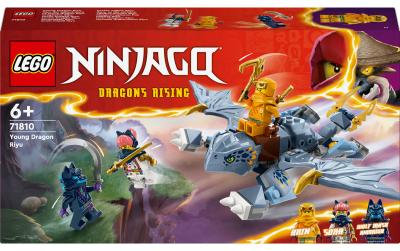 LEGO Riyu der Babydrache