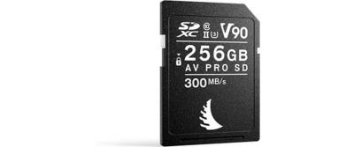 AV PRO SD MK2 256GB V90