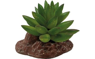 Repto Deco Plant Aloes