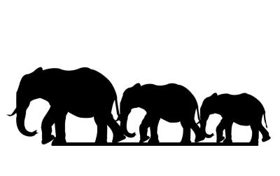 Wallxpert Wanddeko Elefantenfamilie