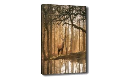 Wallxpert Bild Hirsch