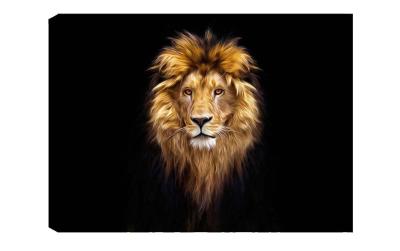 Wallxpert Bild Lion