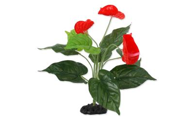 Repti Planet Anthurium 40cm