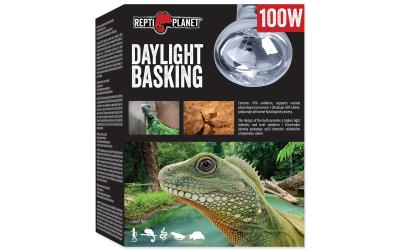 Repti Planet Daylight Basking Spot 100W