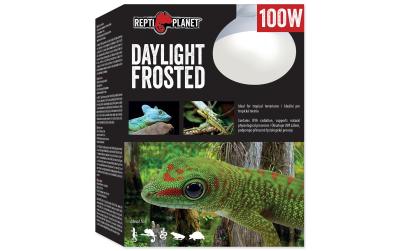 Repti Planet Daylight Frosted 100W