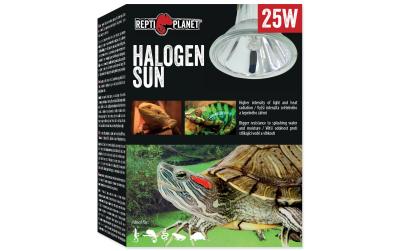 Repti Planet Halogen Spot 25W