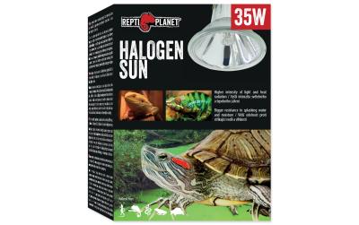 Repti Planet Halogen Spot 35W