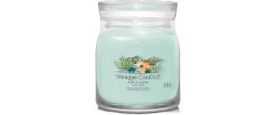 Yankee Candle Aloe & Agave