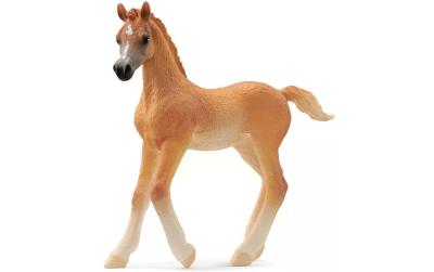 Schleich Araber Fohlen