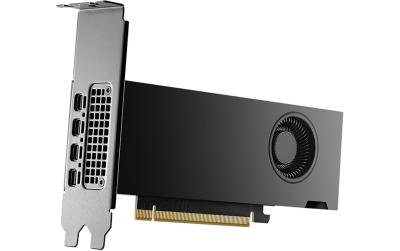 PNY Ada RTX2000, 16GB GDDR6, PCI-E 4.0