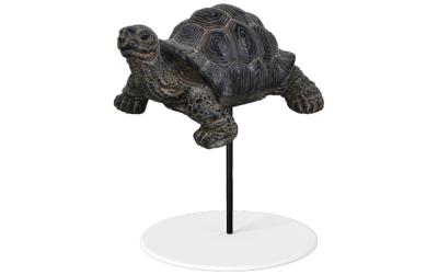 Vivid Arts Schildkrötenstecker
