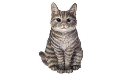 Vivid Arts Katze Tabby sitzend