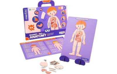 Magnet Pad - Menschliche Anatomie