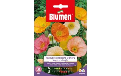 SAMEN MAUSER Mohn Victory Mix